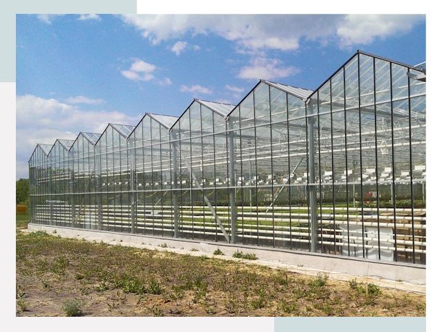 Строительство теплиц в Ивантеевка от 617 руб. за м²