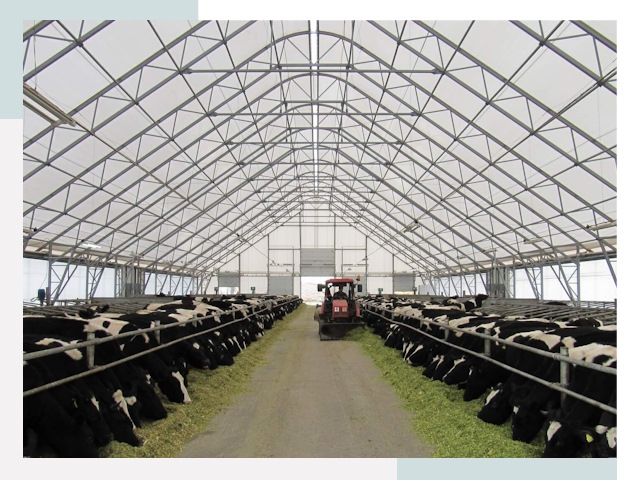 Тентовые коровники в Ивантеевке от 617 руб. - Надежно и доступно